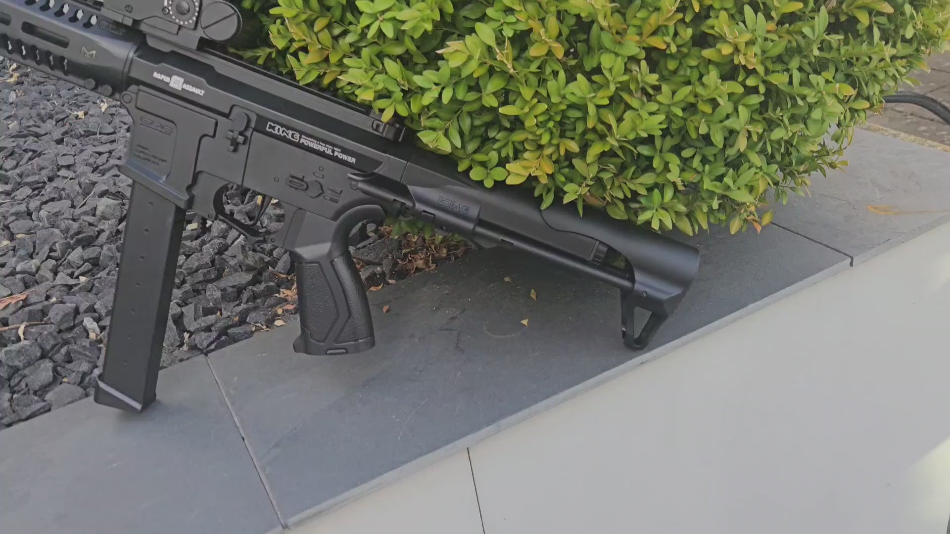 Arp9